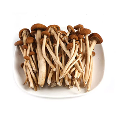 茶樹(shù)菇配送-粵崗蔬菜配送